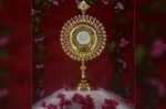 cud eucharystyczny w Indiach